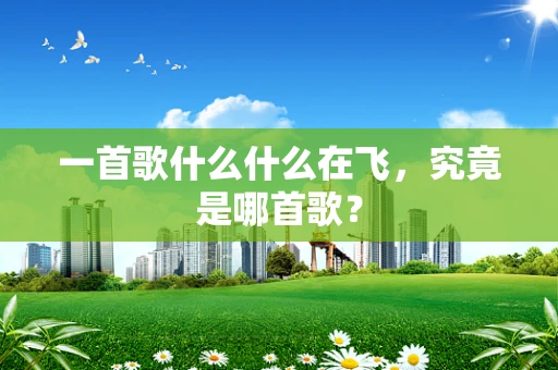 一首歌什么什么在飞，究竟是哪首歌？