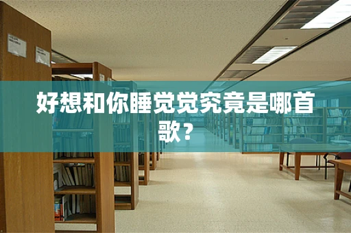 好想和你睡觉觉究竟是哪首歌？