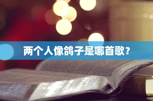 两个人像鸽子是哪首歌？