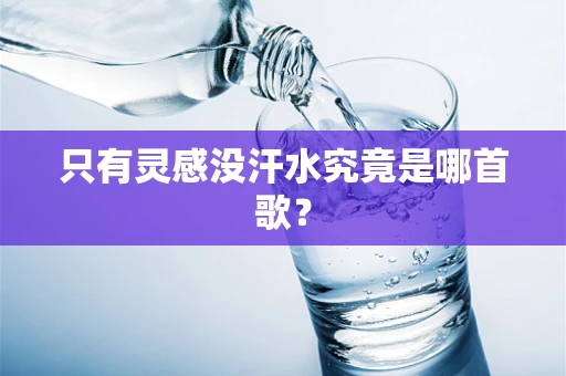 只有灵感没汗水究竟是哪首歌？