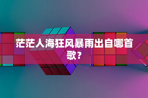 茫茫人海狂风暴雨出自哪首歌？
