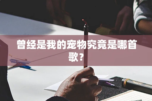 曾经是我的宠物究竟是哪首歌？