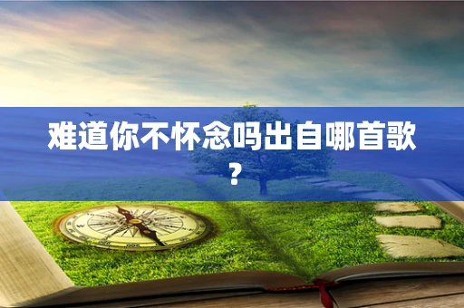 难道你不怀念吗出自哪首歌？