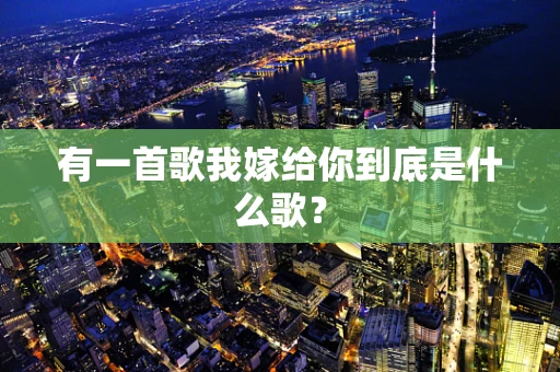 有一首歌我嫁给你到底是什么歌？