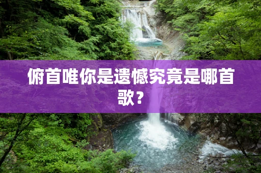 俯首唯你是遗憾究竟是哪首歌？