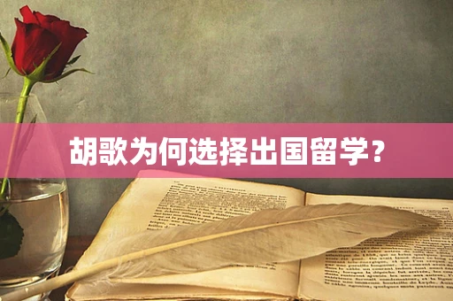 胡歌为何选择出国留学？