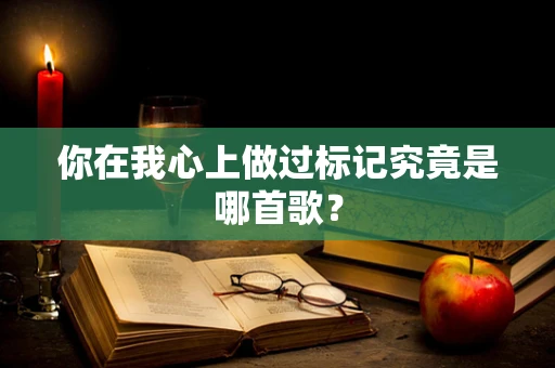 你在我心上做过标记究竟是哪首歌？