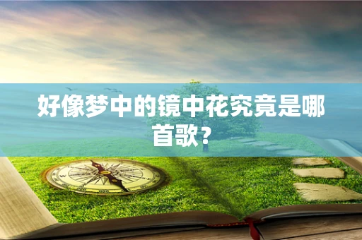 好像梦中的镜中花究竟是哪首歌？