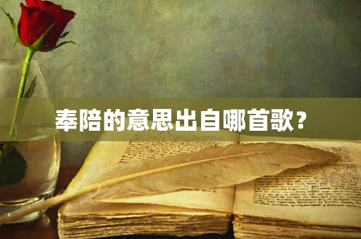 奉陪的意思出自哪首歌？