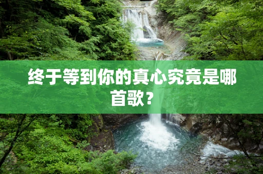 终于等到你的真心究竟是哪首歌？