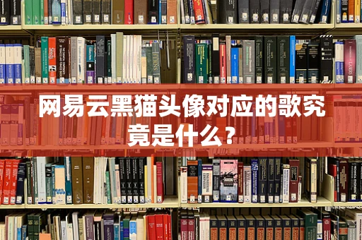 网易云黑猫头像对应的歌究竟是什么？
