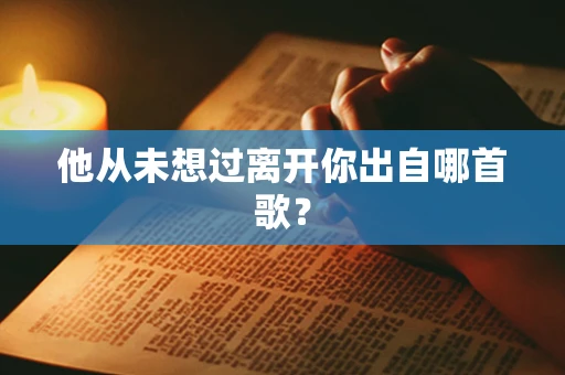 他从未想过离开你出自哪首歌？