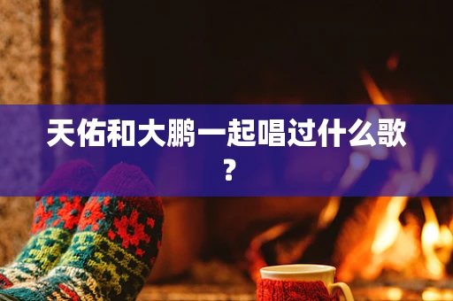 天佑和大鹏一起唱过什么歌？