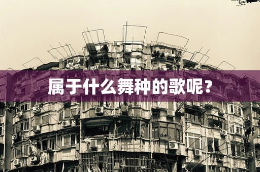 属于什么舞种的歌呢？