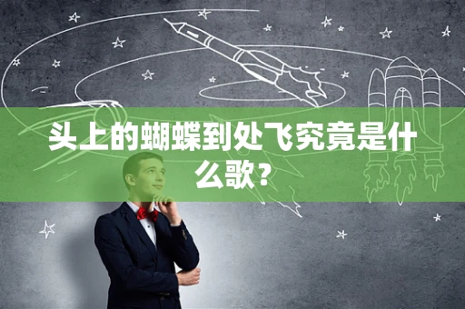 头上的蝴蝶到处飞究竟是什么歌？