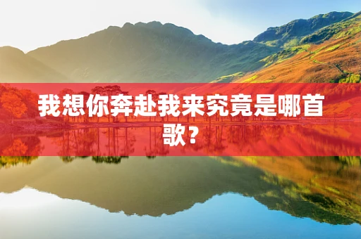 我想你奔赴我来究竟是哪首歌？