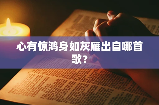 心有惊鸿身如灰雁出自哪首歌？