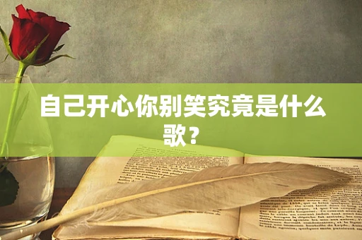 自己开心你别笑究竟是什么歌？