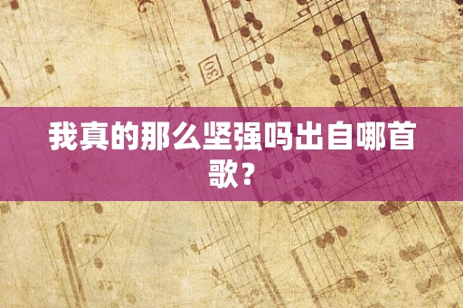 我真的那么坚强吗出自哪首歌？