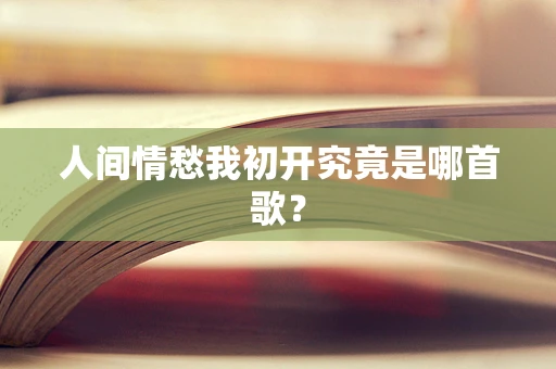 人间情愁我初开究竟是哪首歌？