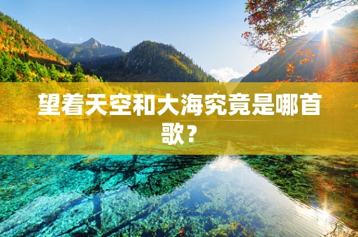 望着天空和大海究竟是哪首歌？