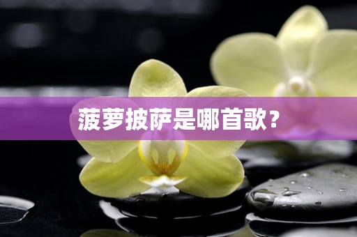 菠萝披萨是哪首歌？