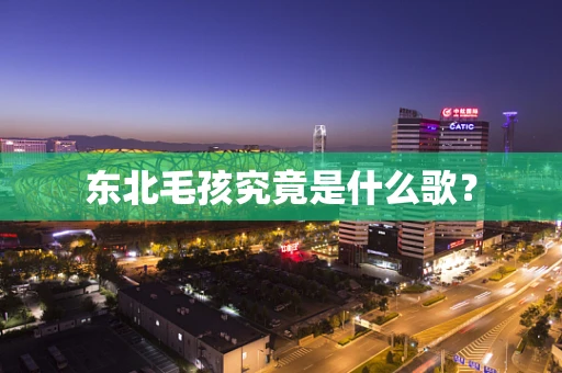 东北毛孩究竟是什么歌？