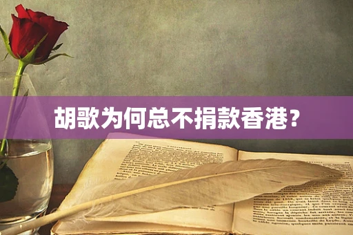 胡歌为何总不捐款香港？