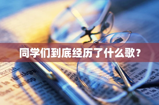 同学们到底经历了什么歌？
