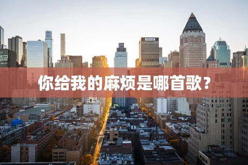 你给我的麻烦是哪首歌？