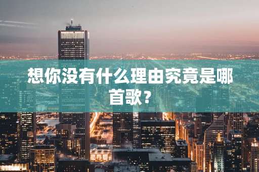 想你没有什么理由究竟是哪首歌？