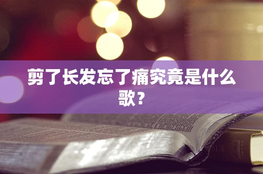 剪了长发忘了痛究竟是什么歌？