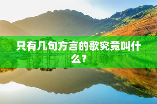 只有几句方言的歌究竟叫什么？