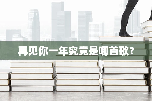 再见你一年究竟是哪首歌？