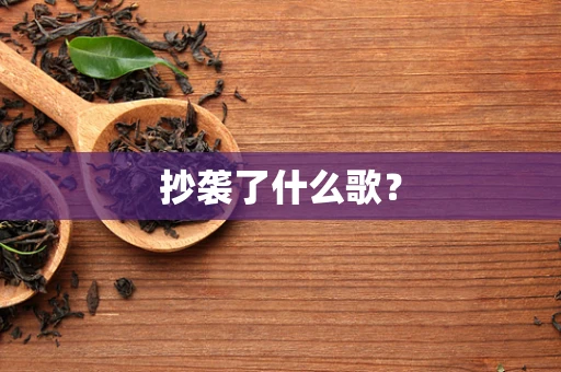 抄袭了什么歌？