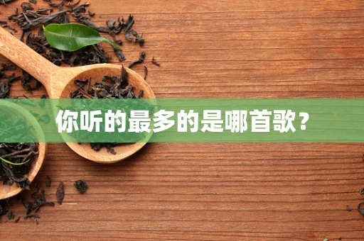 你听的最多的是哪首歌？