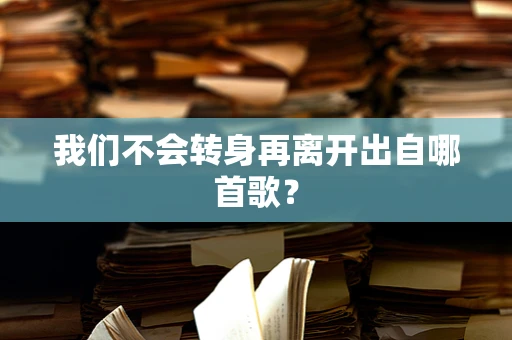 我们不会转身再离开出自哪首歌？