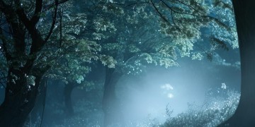 夜桑波夜桑波究竟是什么歌？