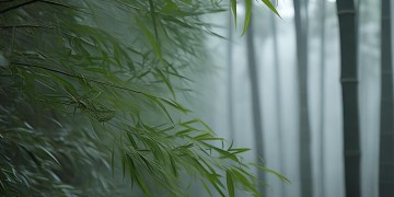 武林风打我的朋友到底是什么歌？