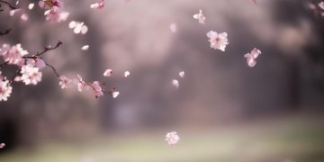 我们今生不必再见出自哪首歌？