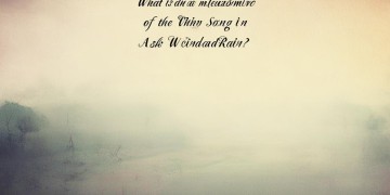 问风问雨这首歌的含义究竟是什么？