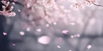 就算会受伤这句歌词出自哪首歌？
