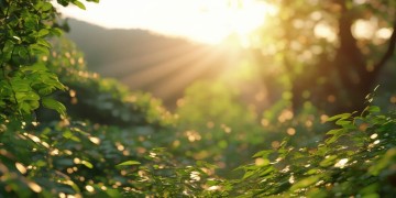只想逍遥人世间到底是哪首歌？