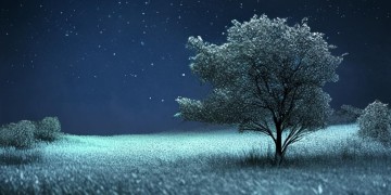 我想你在黑夜里是哪首歌？
