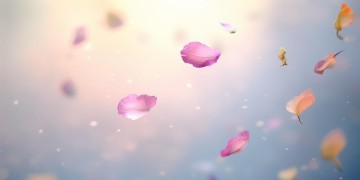 有些情随缘就好出自哪首歌？