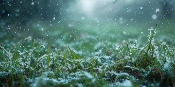下过雨后的小雪，这是什么歌？