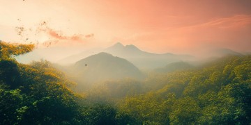 歌曲究竟何时发行？