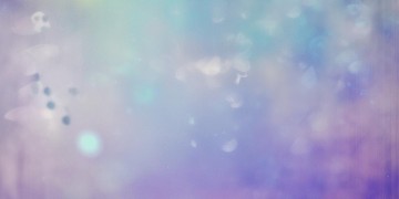 请把以后留给我出自哪首歌？