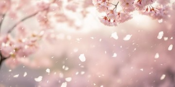 我注定和你无缘了究竟是哪首歌？