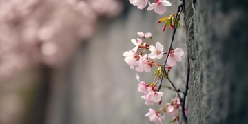 爱你欠欠这首歌表达了什么意思？